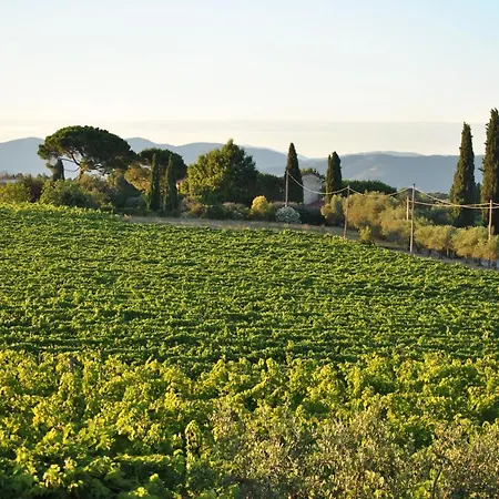 La Valiana - Full Estate In Montepulciano - Heated Pool *